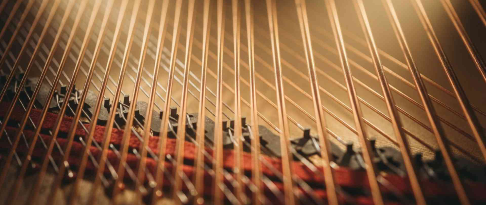 L & J Conservatory of Music