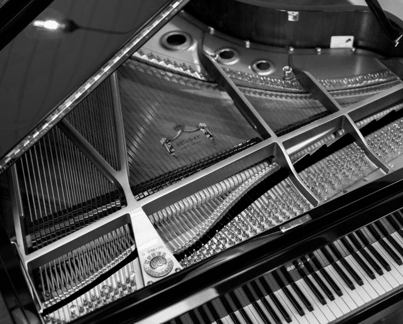 close up of fingers on piano keys, black and white photography, moody dramatic lighting