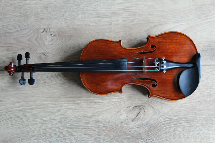 viola string instrument close-up, warm amber tones, classical music, professional photography