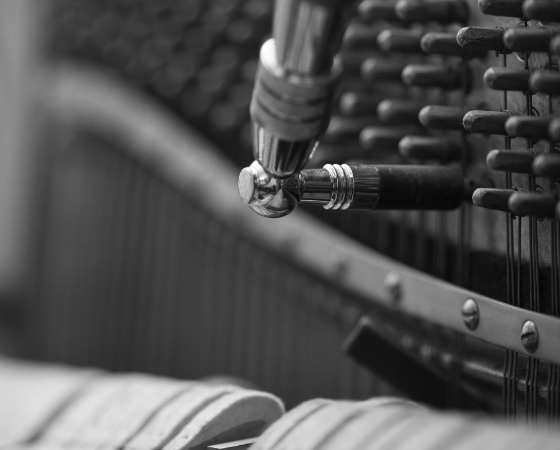 detailed view of piano soundboard and bridge, warm wood grain, professional classical music environm
